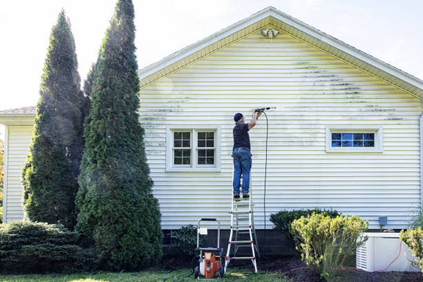 Best Building Exterior Washing  in Barnum Island, NY